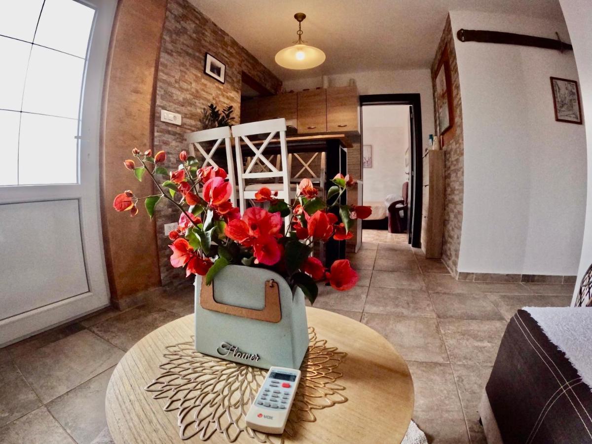 Apartments Obradovic Krasici Exterior photo